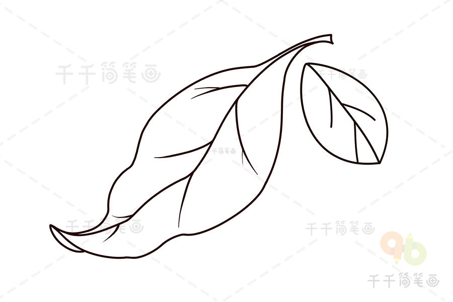 海棠树叶简笔画图片