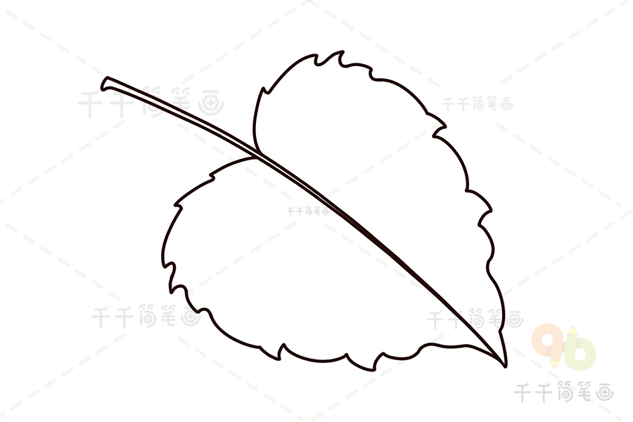 杨树的叶子 简笔画图片