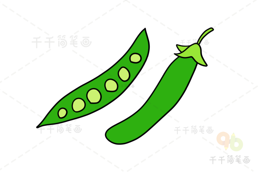 翠绿的扁豆简笔画