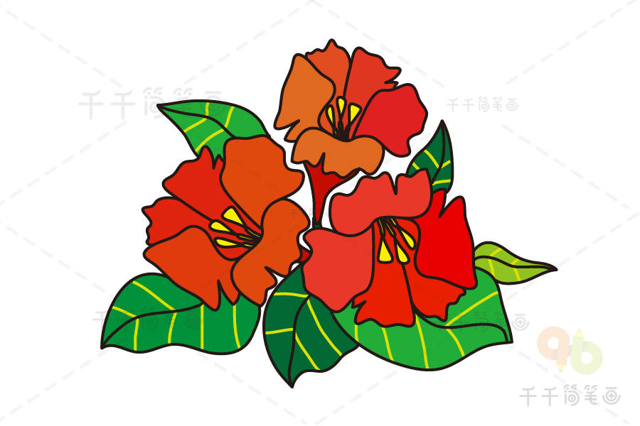 红色花卉简笔画图片