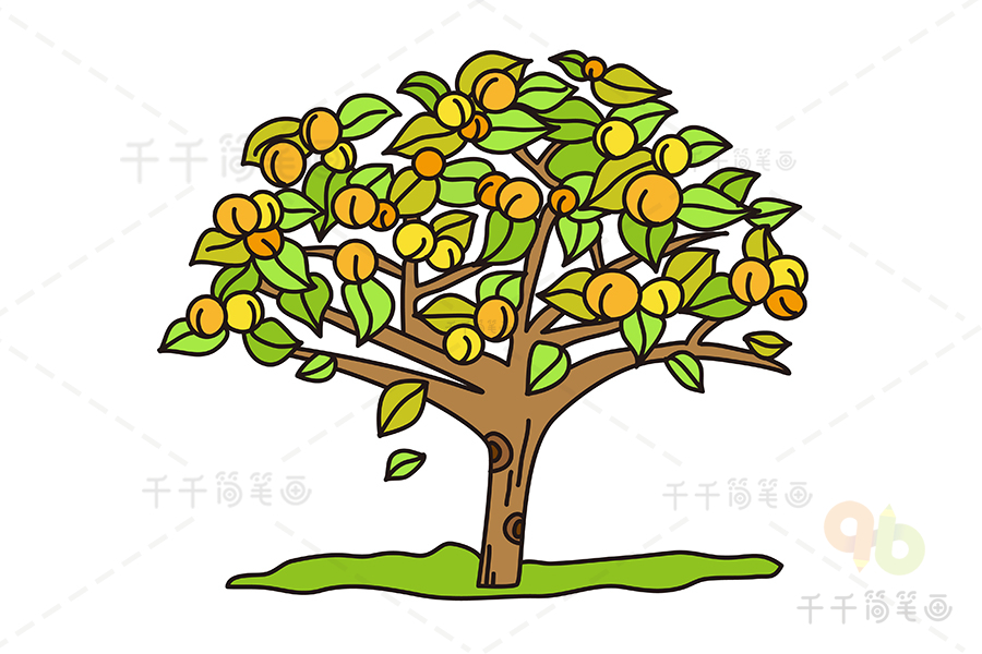 儿童杏树简笔画图片
