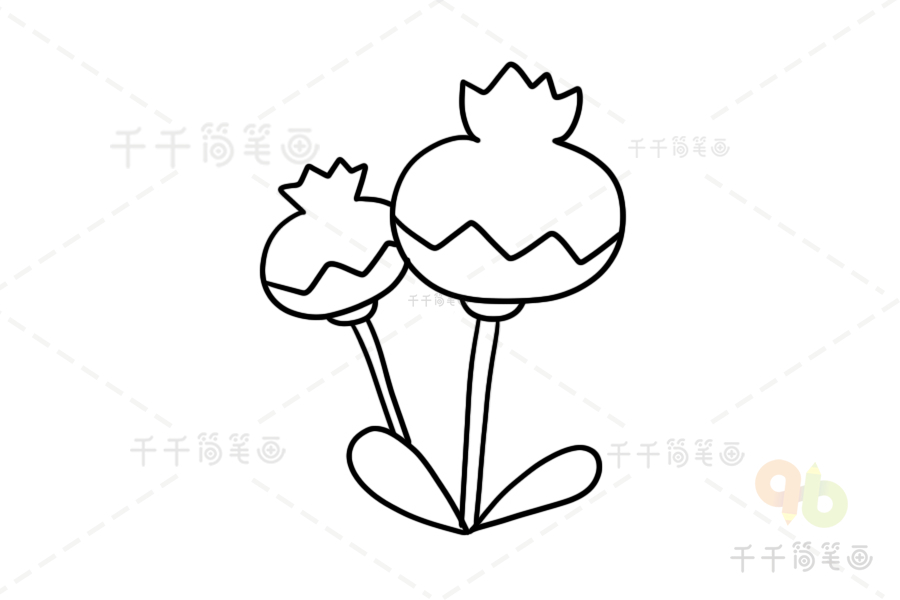 罂粟花简笔 简单图片