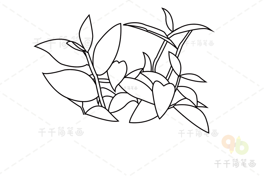 茶花树简笔画图片