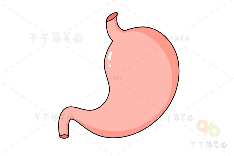 胃的画法简笔画图片图片