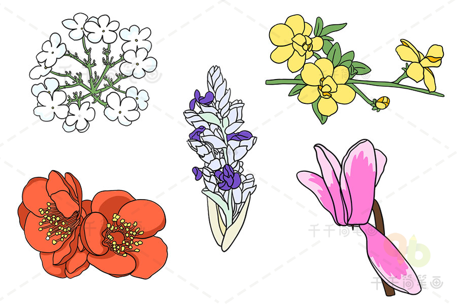 各种好看的花朵简笔画素材 适合小朋友临摹学习