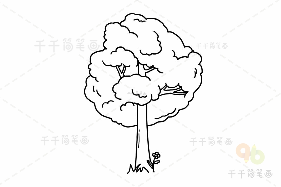 香樟树简笔图片