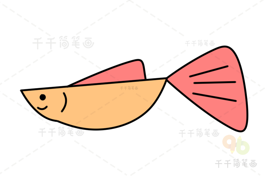 孔雀鱼简笔画宝宝图片