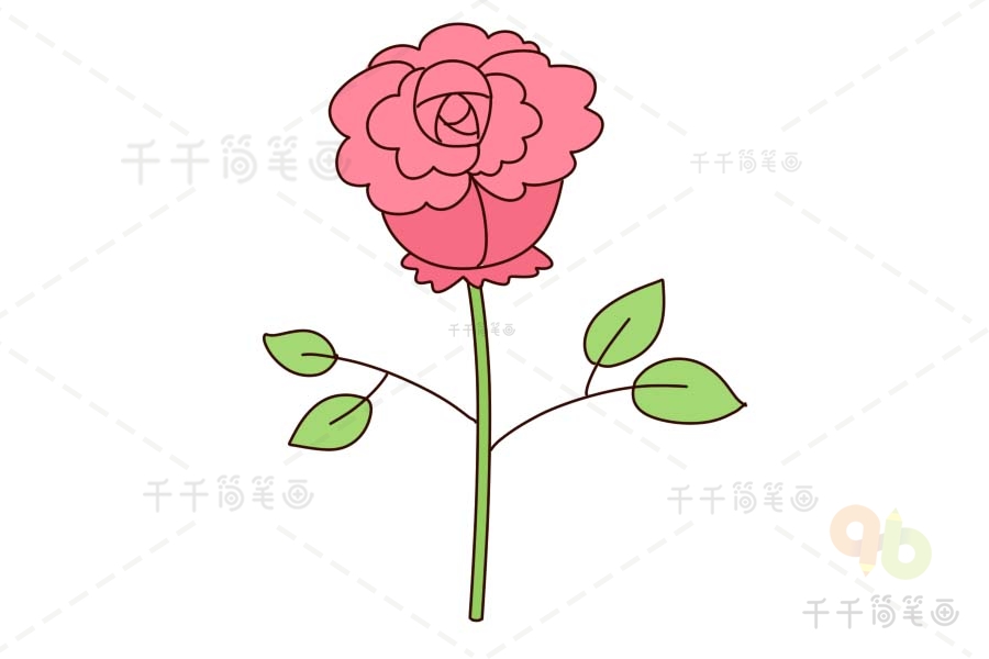 简笔画蔷薇花图片