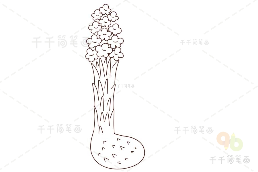 秦岭珍稀植物简笔画图片