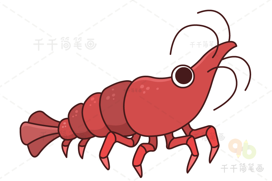 小虾的简笔画动画图片