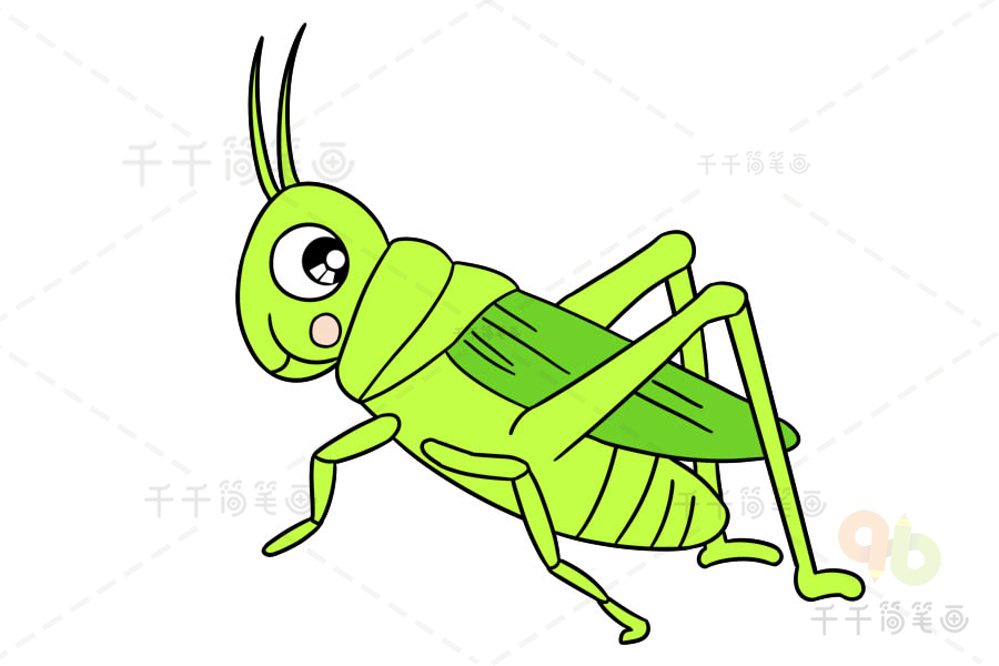 蟋蟀简笔画画法图片