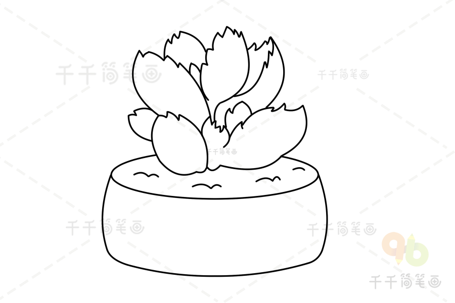 熊童子简笔画 可爱又简单