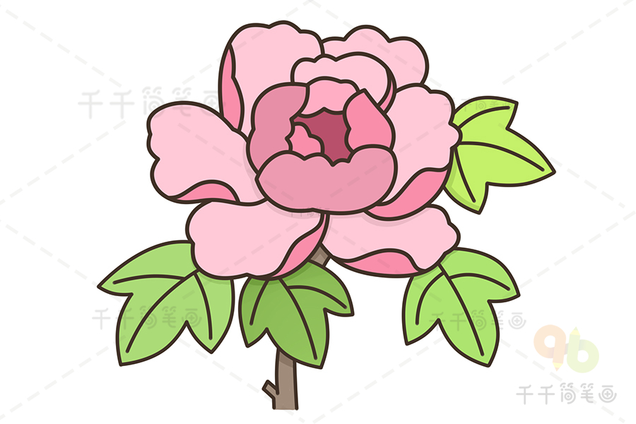 牡丹花的简单画法图片