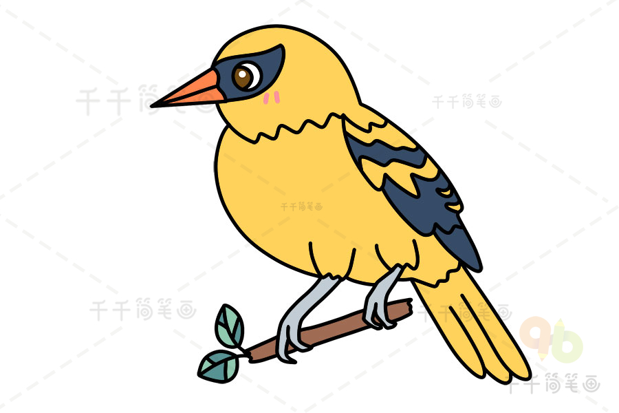 黄鹂鸟简图图片