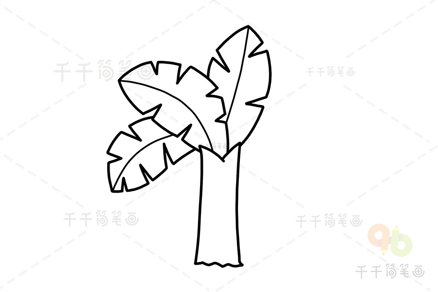 芭蕉树简笔画简单图片