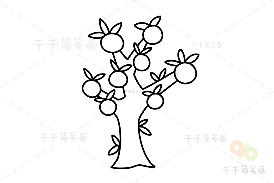 桔子树简笔画步骤图图片