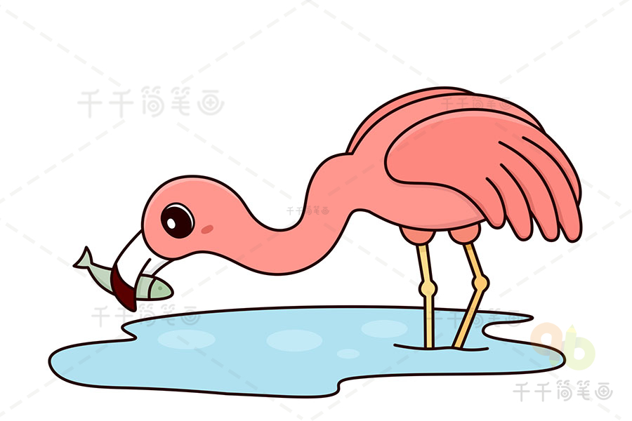 火烈鸟简笔画 粉色图片