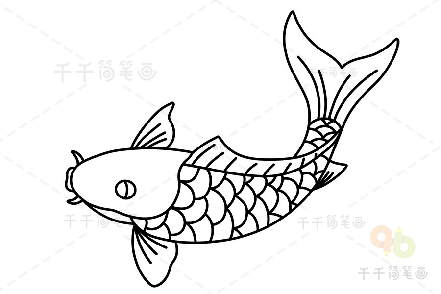 黄河鲤鱼简笔画图片