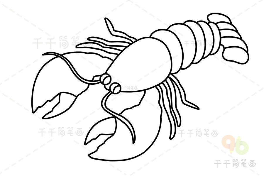 海龙虾简笔画图片