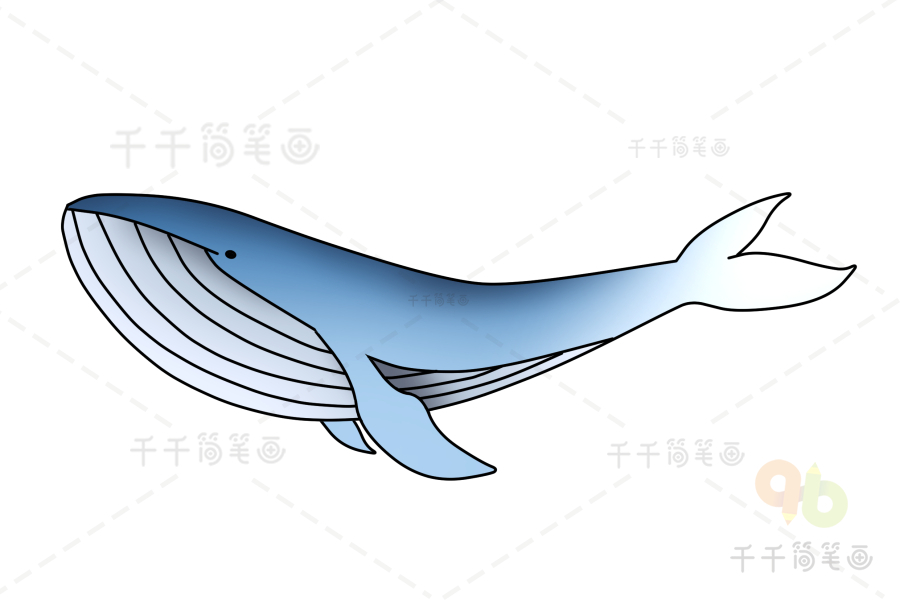 蓝鲸简笔画 可爱图片