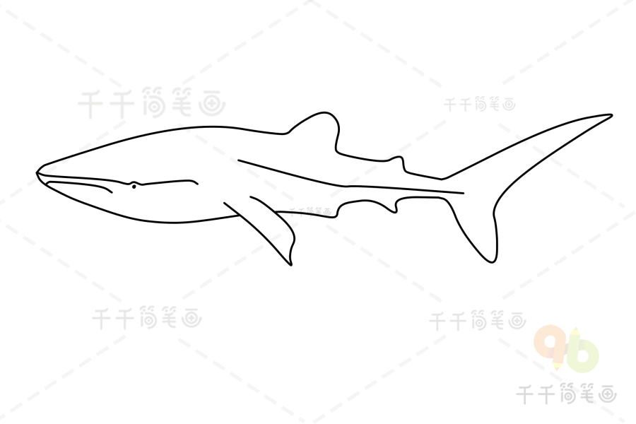 鲸鲨的简笔画图片大全图片