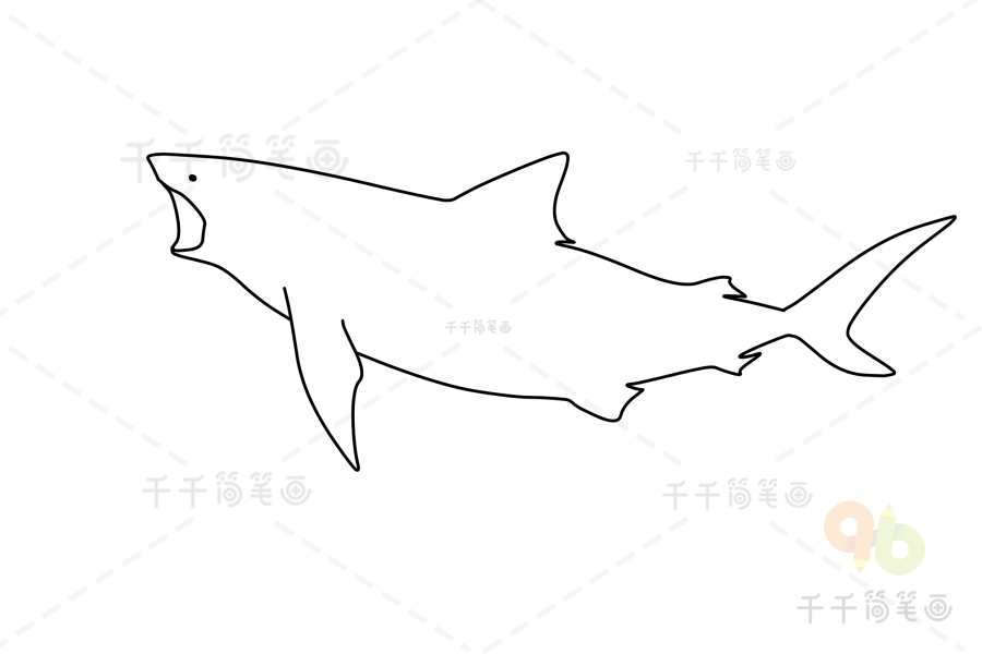 姥鲨简笔画