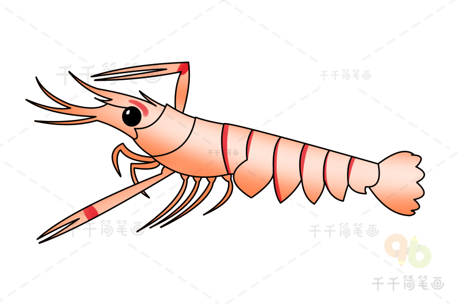 南极深海螯虾简笔画
