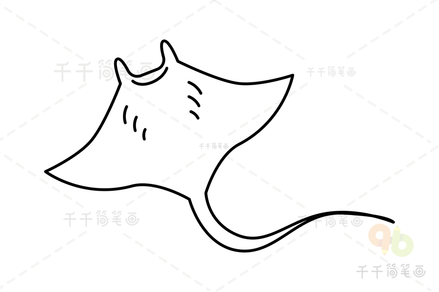 前口蝠鲼简笔画