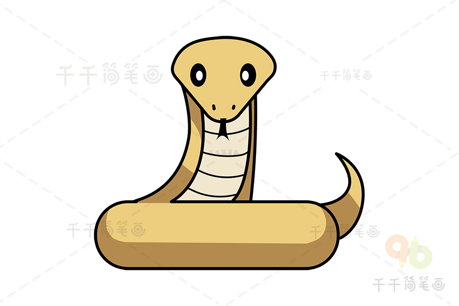 黄金蟒蛇简笔画图片