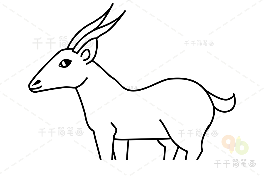 非洲羚羊简笔画图片