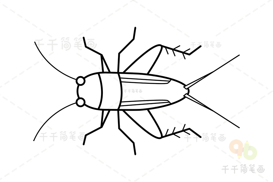 蛐蛐簡筆畫