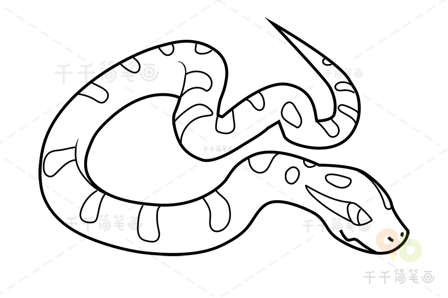 大蟒蛇绘画图片