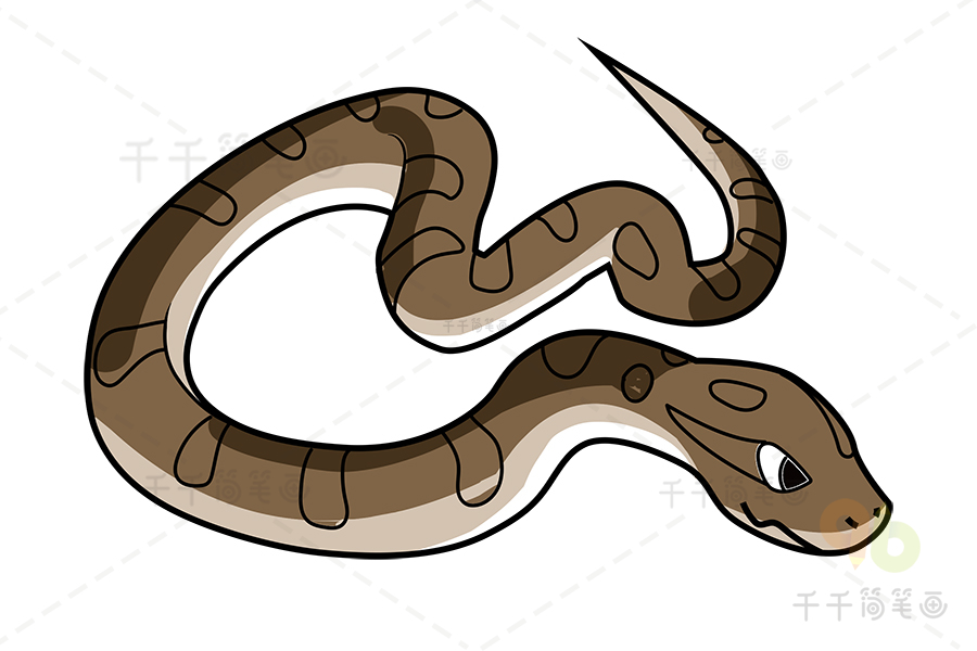 黄金蟒蛇简笔画图片