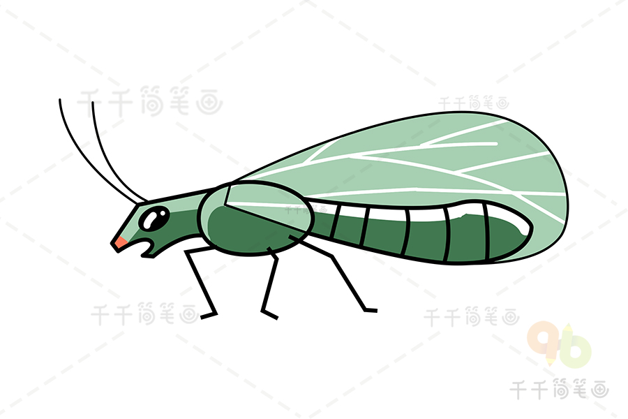 热带雨林昆虫简笔画图片