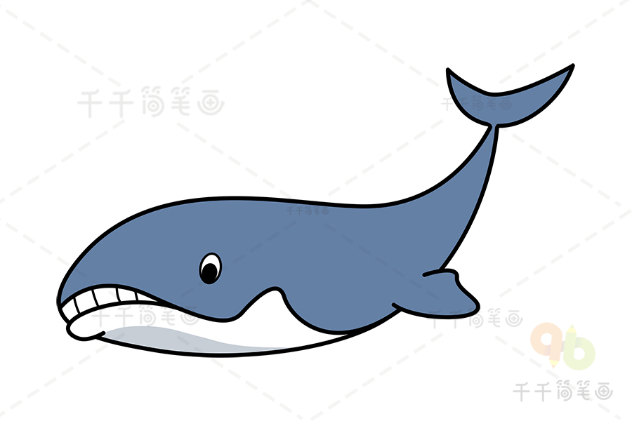 弓头鲸简笔画图片