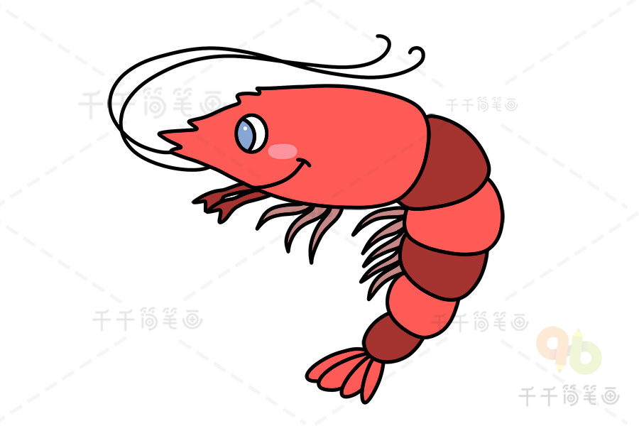 河虾简笔画图片