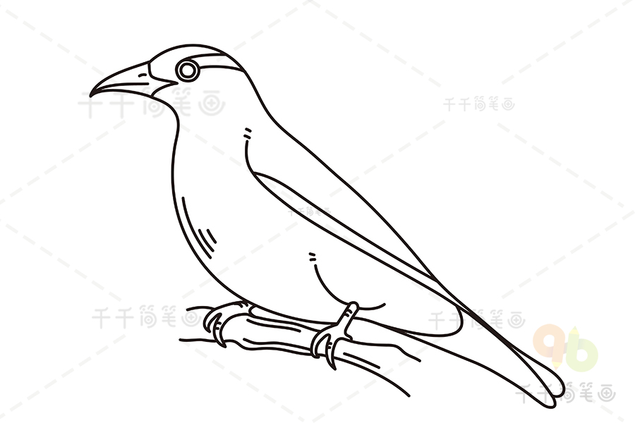黄鹂鸟简图图片