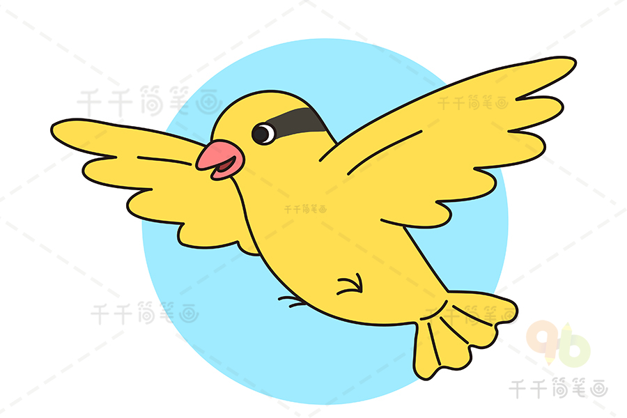 黄鹂鸟简笔画 简单图片