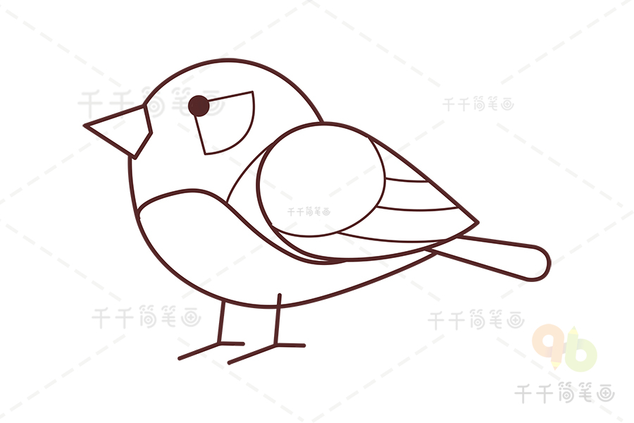 珍珠鸟简笔画表现图片