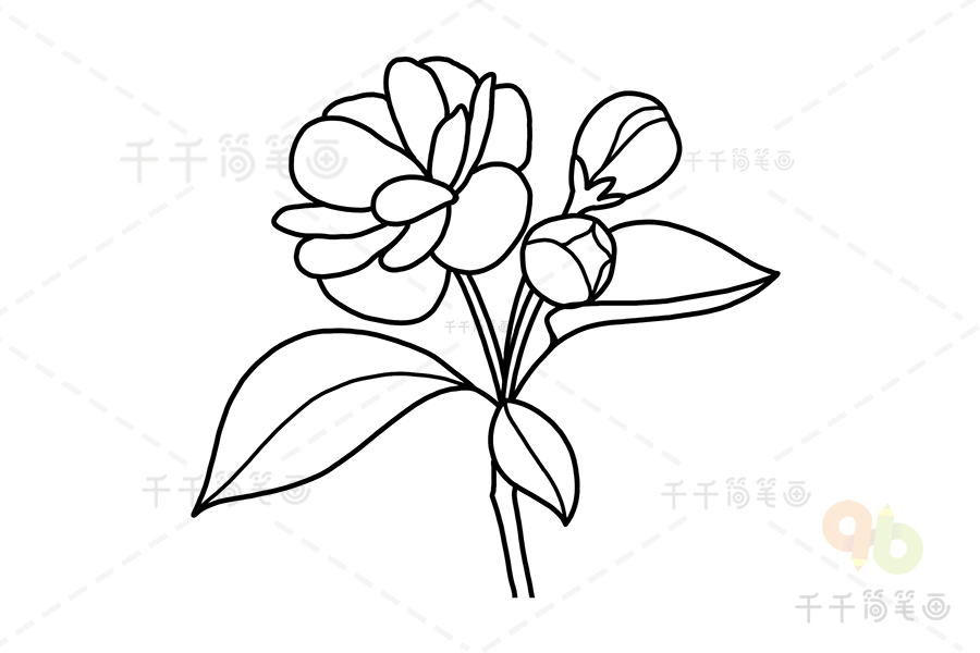 海棠花的画法简笔图片