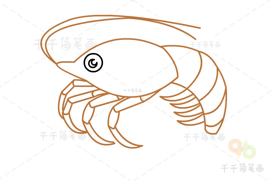 虾的简笔画画法图片