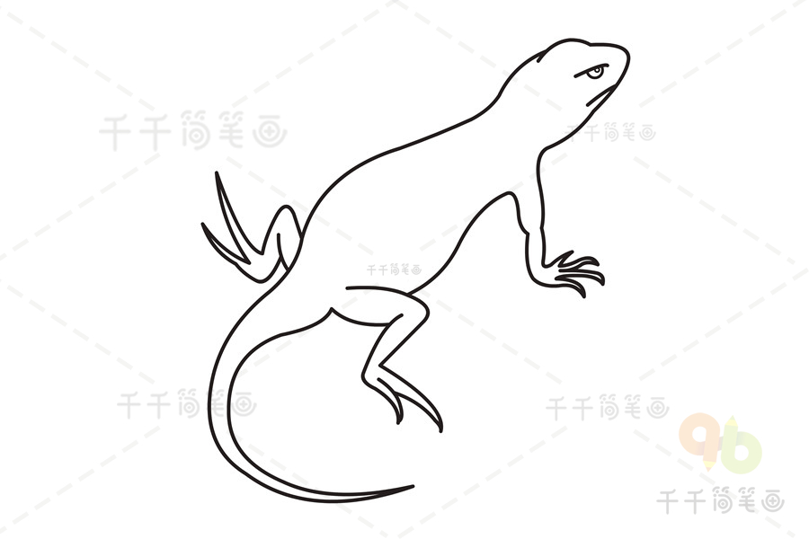 科莫多龙巨蜥简笔画图片