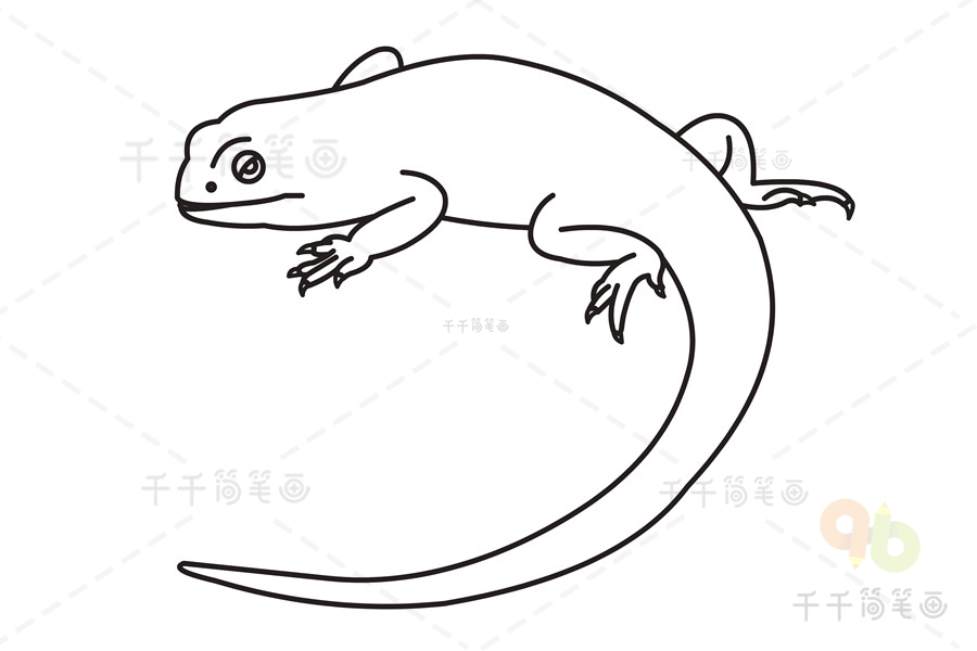 科莫多巨蜥简笔画图片图片