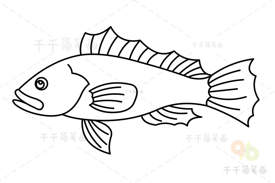 鲈鱼简笔画勇士图片