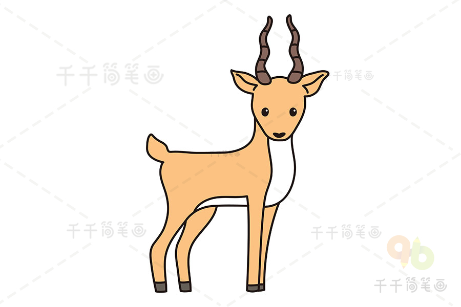 藏羚羊简笔画可爱图片