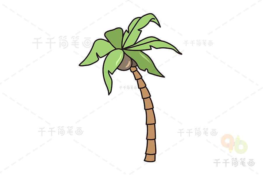 高大的椰子树简笔画