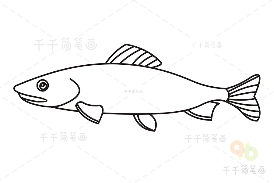 三文鱼简笔画绘画图片