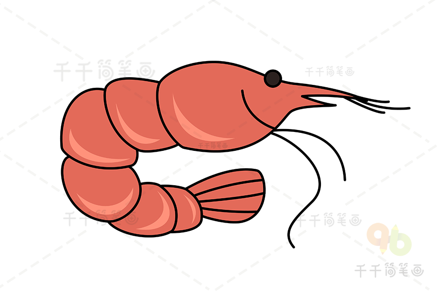 小虾的简笔画简单图片