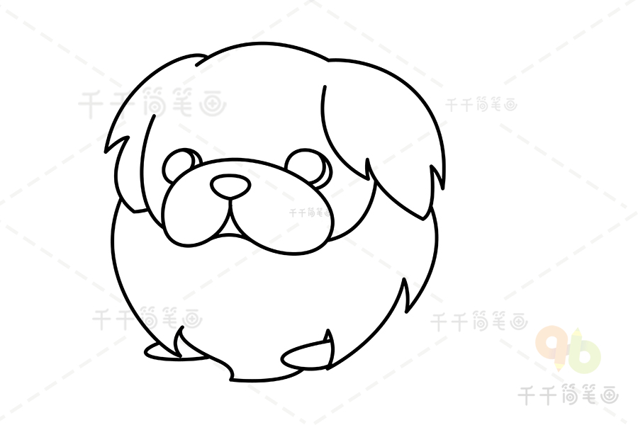 京巴犬黑白图片