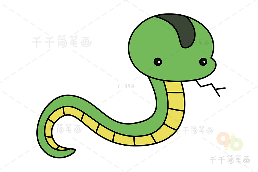 黄腹水蛇简笔画教程